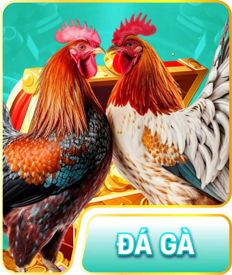 Đá Gà GG88 – Trực Tiếp Trận Đấu Mỗi Ngày Cho Kê Thủ